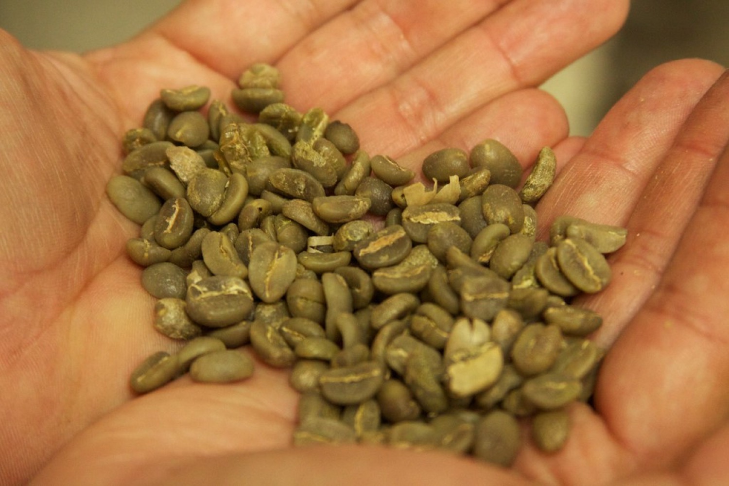 Raw green coffee beans